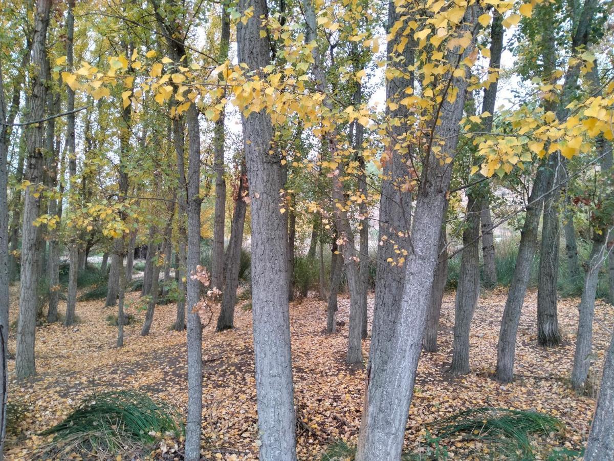 Alojamiento Rural, Cueva De La Abuela Cuevas del Campo Zewnętrze zdjęcie