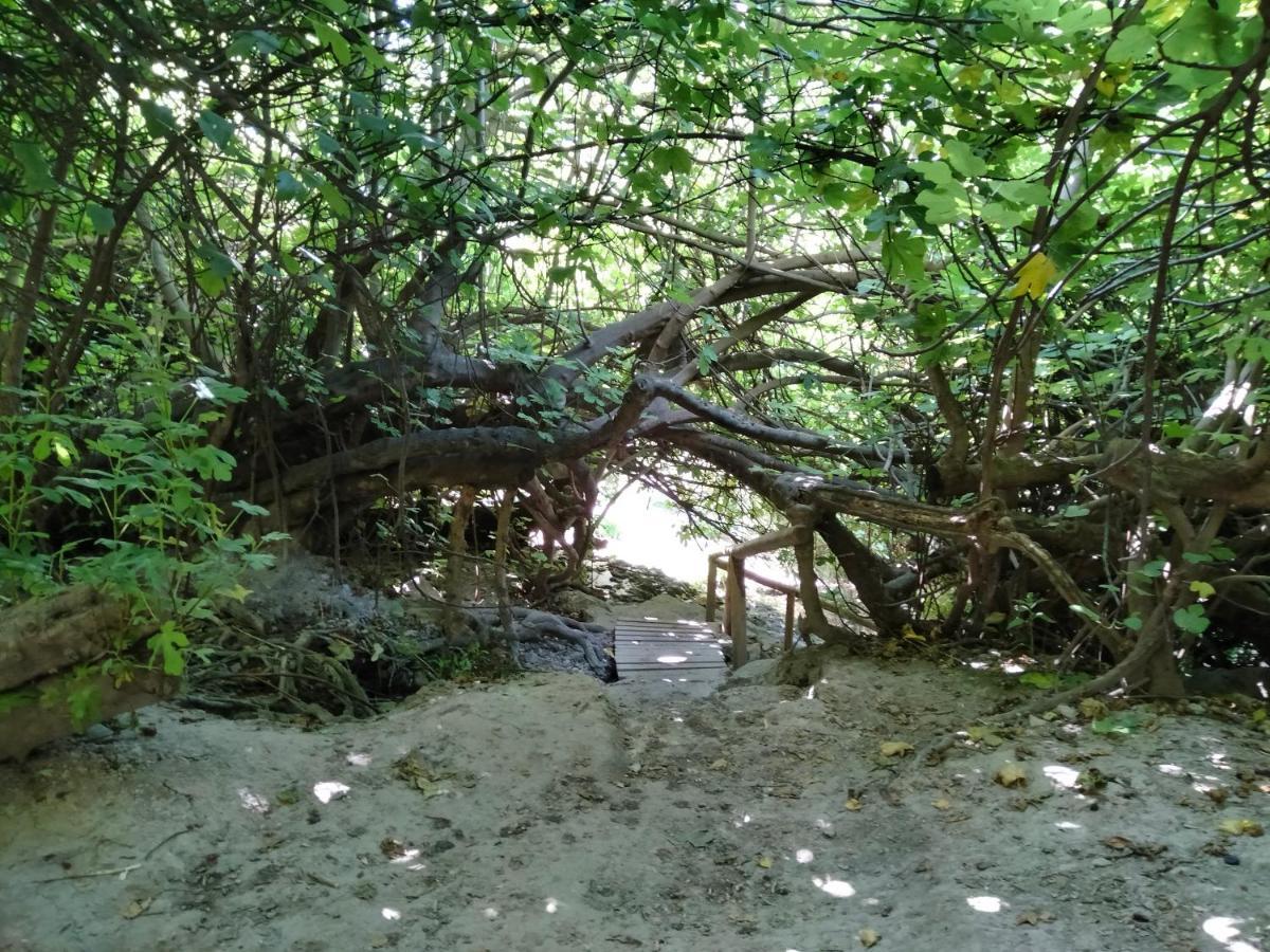Alojamiento Rural, Cueva De La Abuela Cuevas del Campo Zewnętrze zdjęcie